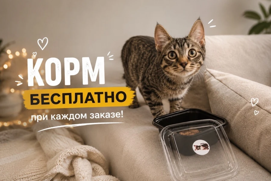 cat friendly