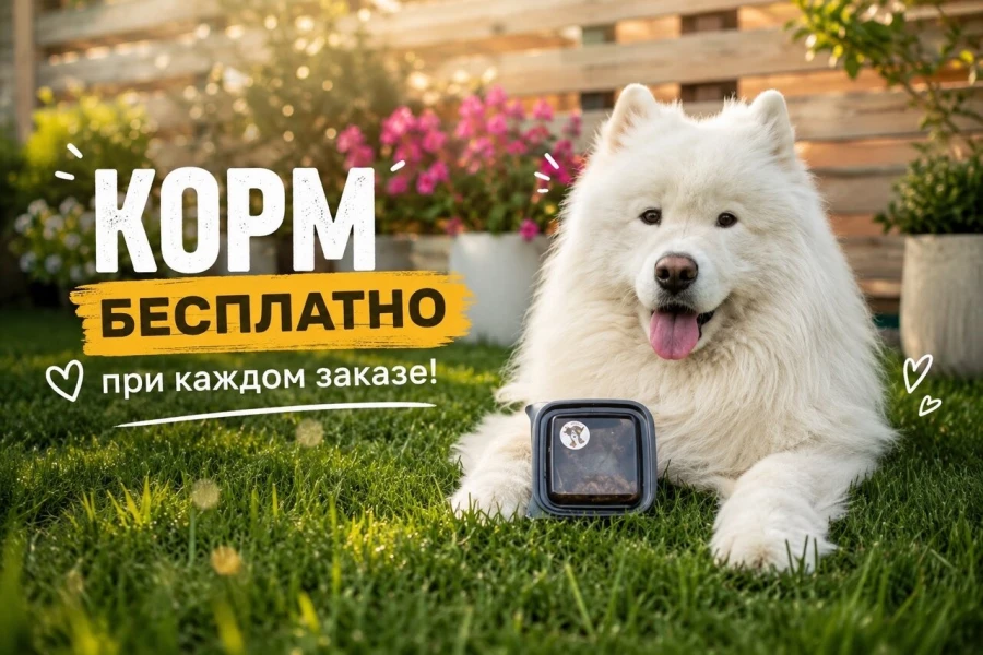 dog friendly