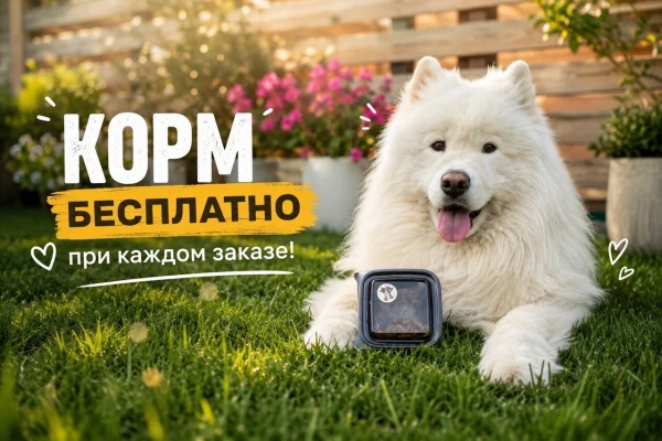 dog friendly