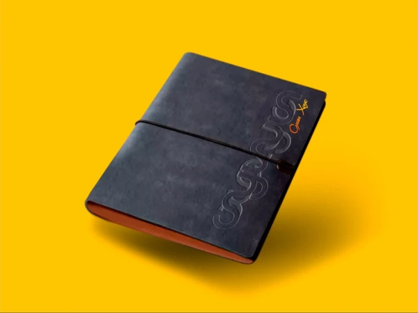 Ежедневник СХ