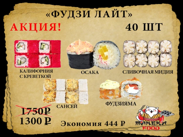 Фудзи Лайт