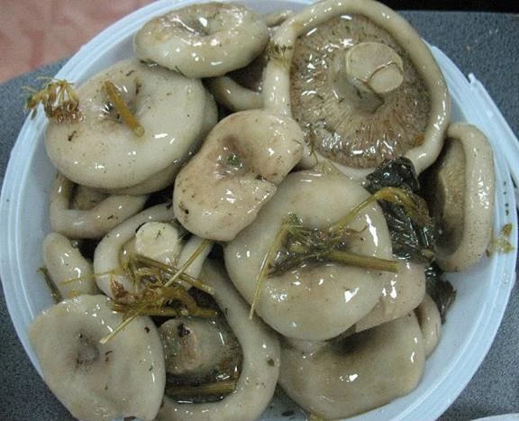 Грибы грузди маринованные