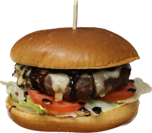 Mozzarella burger