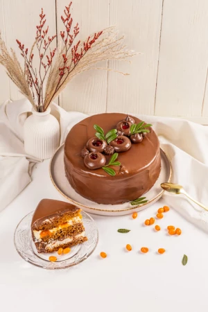  Шоколадно-облепиховый