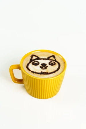 Котолатте KIDS