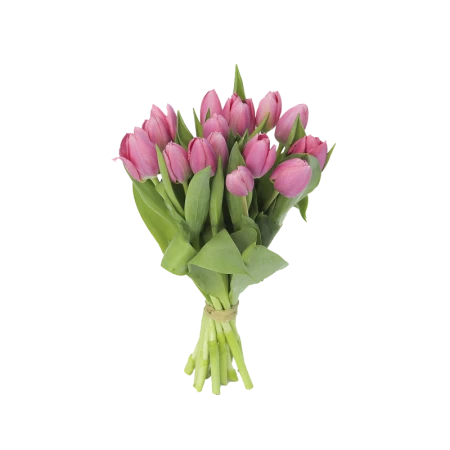 Тюльпаны 3шт