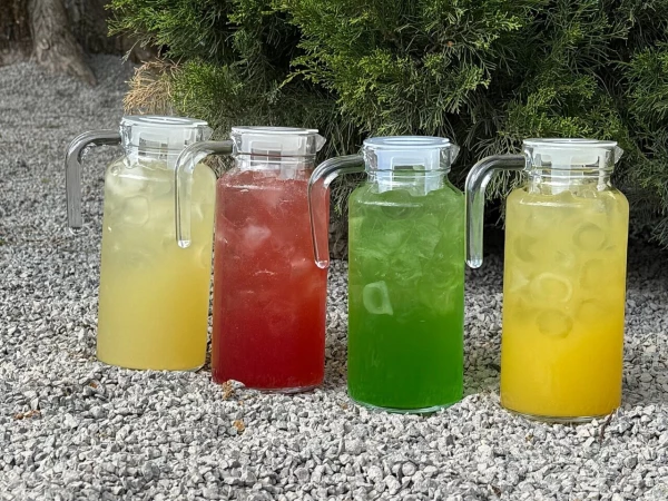 Лимонад Кактус-Ренет 1 л.