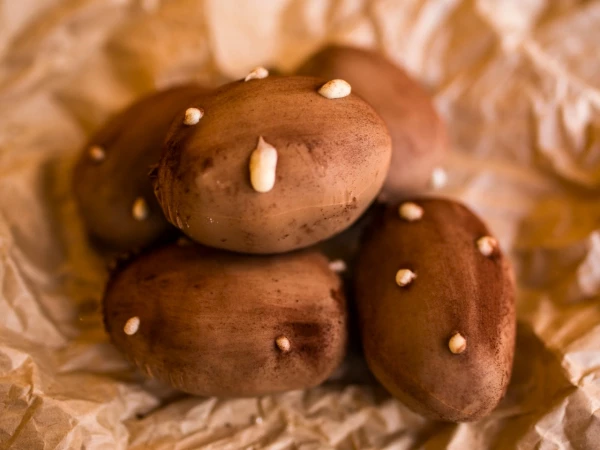 Пирожное Картошка