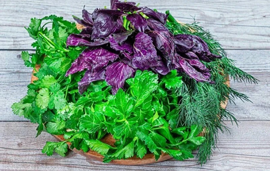 ЗЕЛЕНЬ АССОРТИ