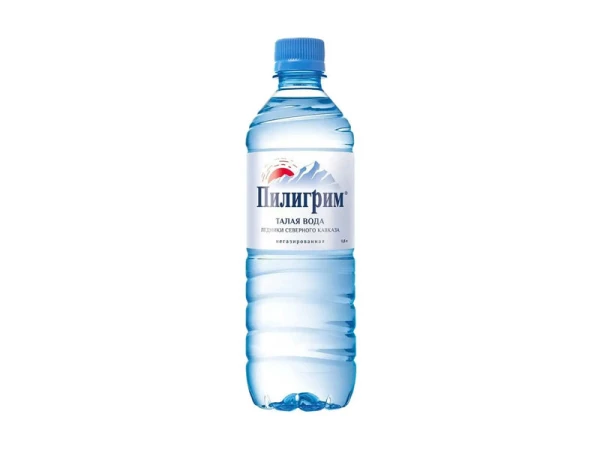 Пилигрим (ПЭТ)