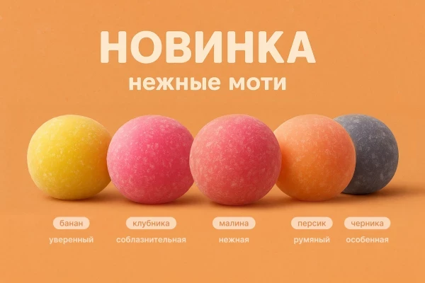 Моти