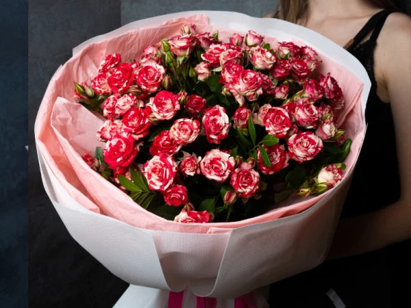 Рубиновая россыпь