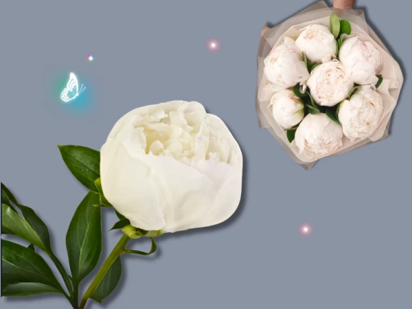 Пион Боул оф крим