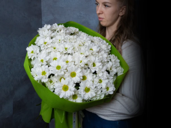 Ромашковое поле 