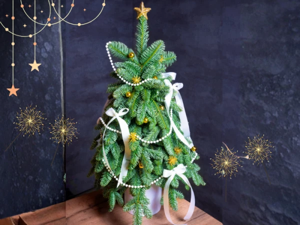 Елка из нобилиса Фрея