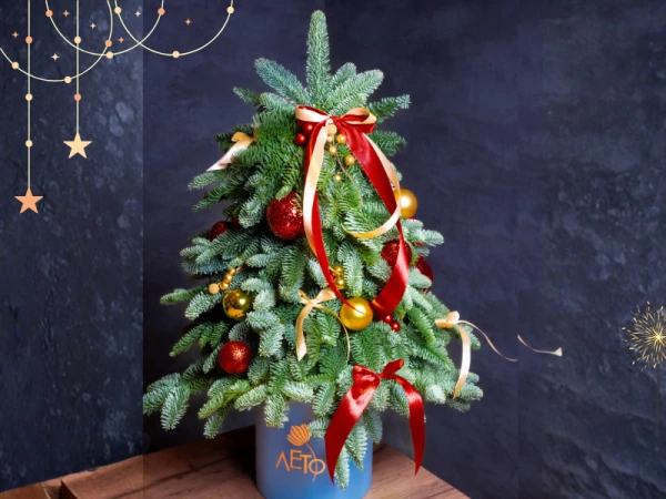 Елка из нобилиса Анна