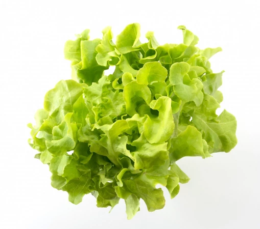 Добавка Айсберг