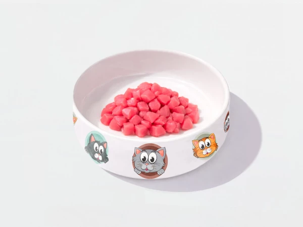 Покорми котика Тунец