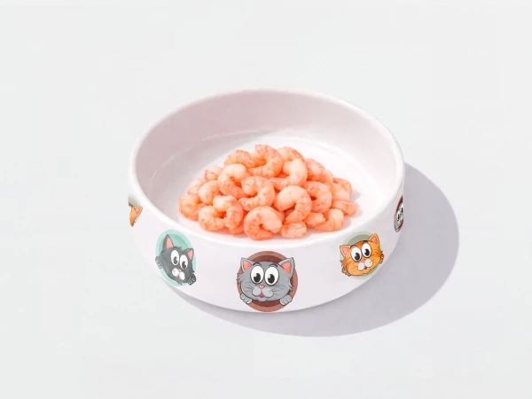 Покорми котика Креветка