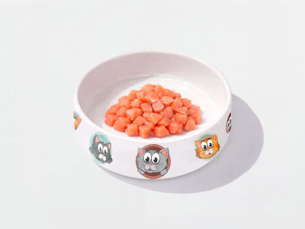 Покорми котика Семга