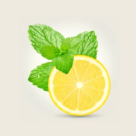 Лимонад Апельсин-лимон-мята 300 мл