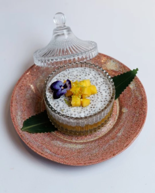 Чиа пудинг манго кокос 150г