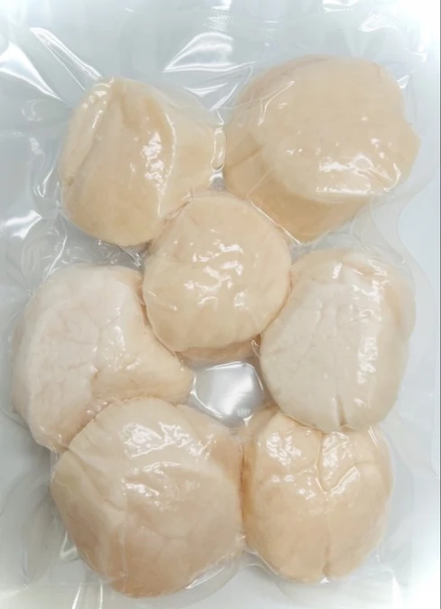 Гребешок Приморский (Крупный)