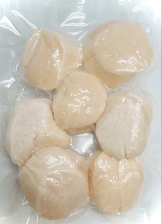 Гребешок Приморский (Крупный)