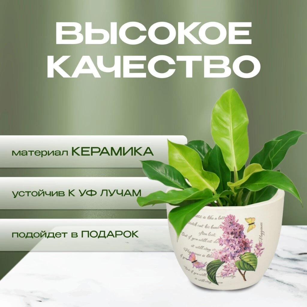 Кашпо керамика, 0.2 л, 8х6.5х6.5 см, в ассортименте, Цветы малый, Y3-1294/318492