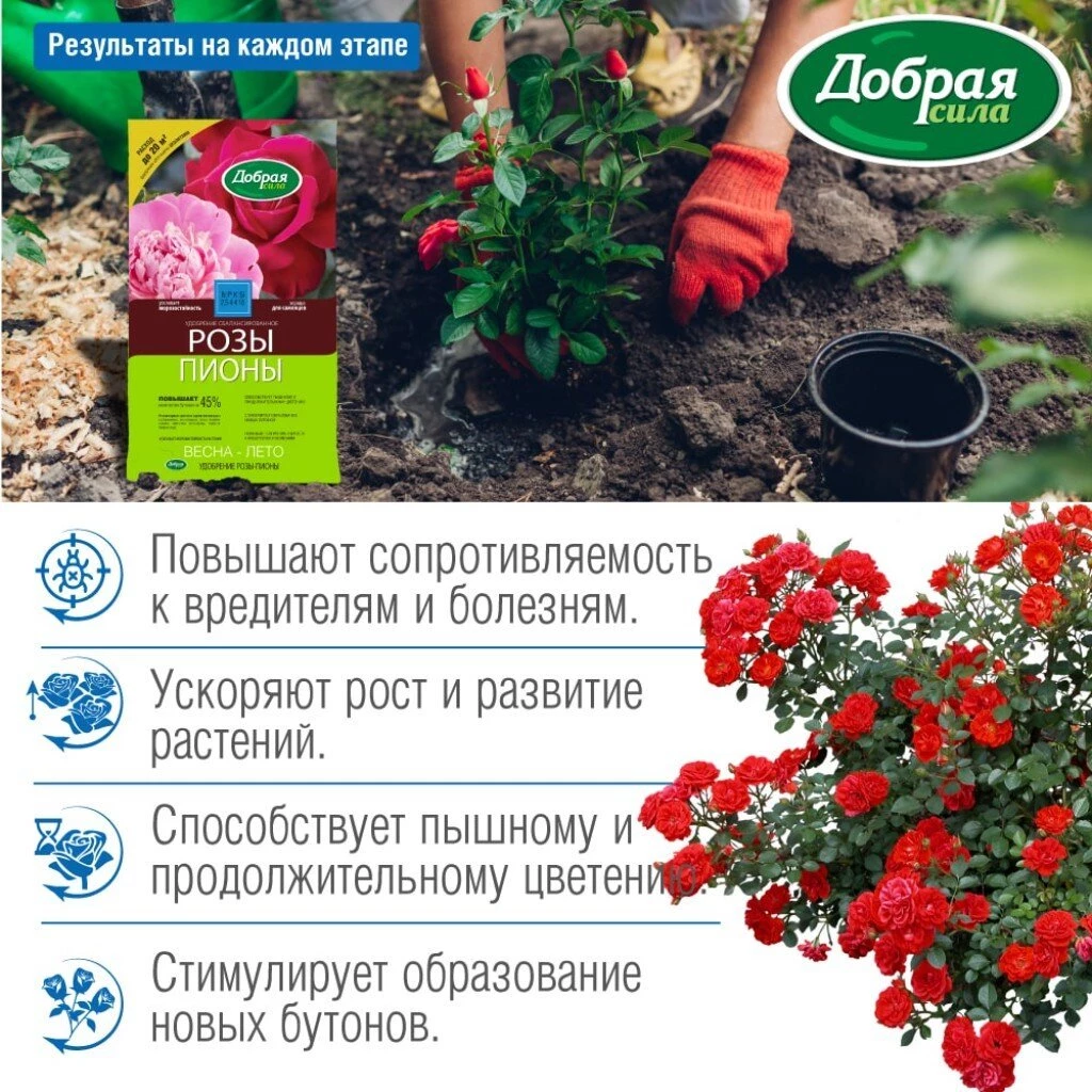 Удобрение для роз и пионов, сухое, минеральный, гранулы, 900 г, Добрая сила