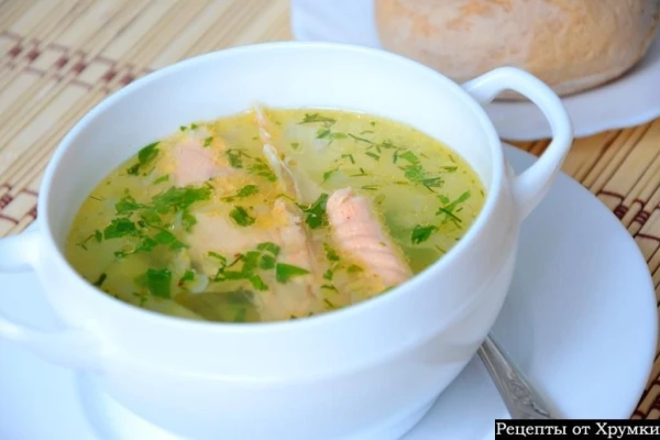 Уха из красной рыбы