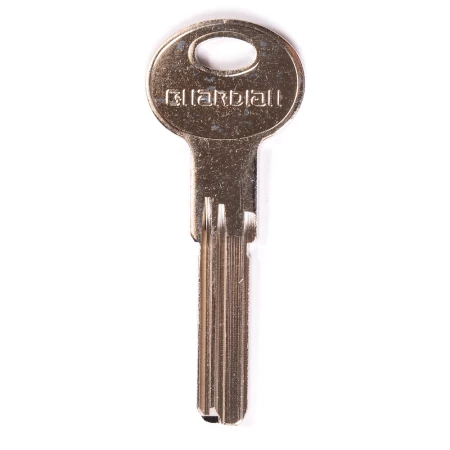 №245 - Гардиан-3 паза (арт.7017)