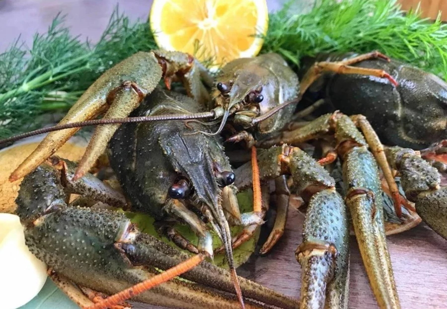 Раки средние 30/50 г ( 26-28 ) шт