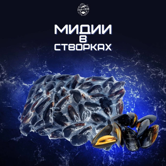 Мидии в створке