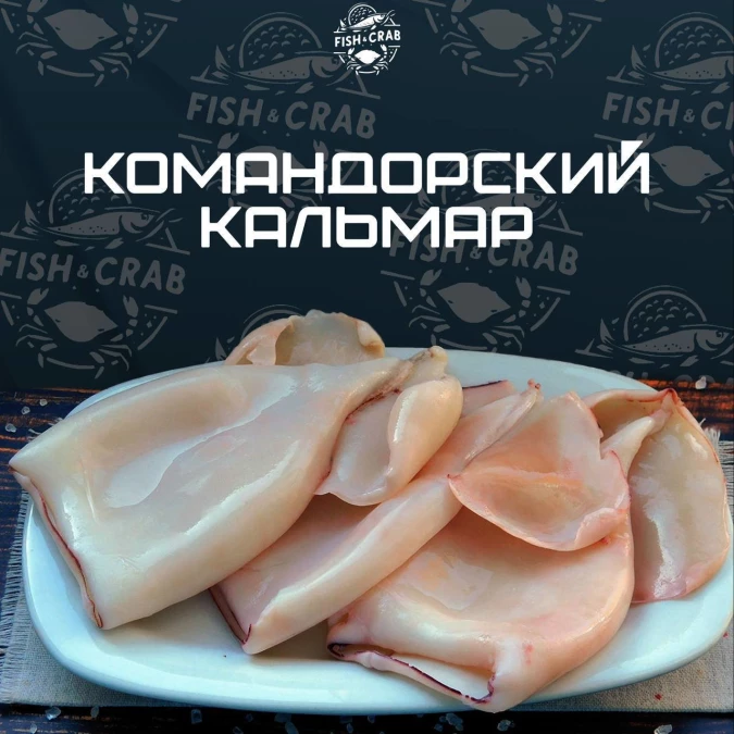 Кальмар командорский 