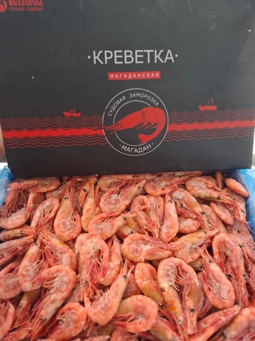 Креветка магаданская
