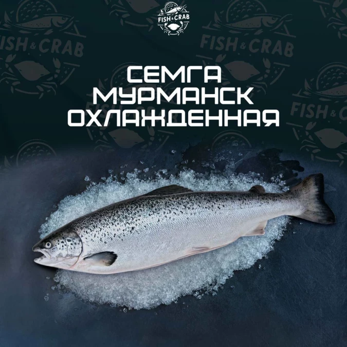 Семга Мурманск, охлажденная