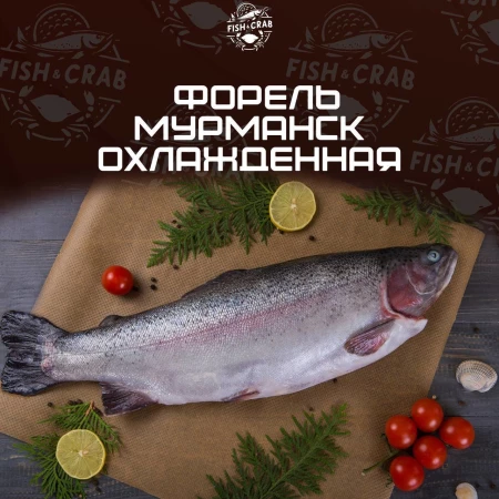 Форель мурманская охлажденная
