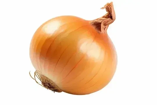 Лук кг