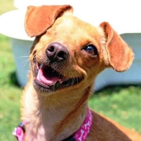 ВОСХИТИТЕЛЬНАЯ