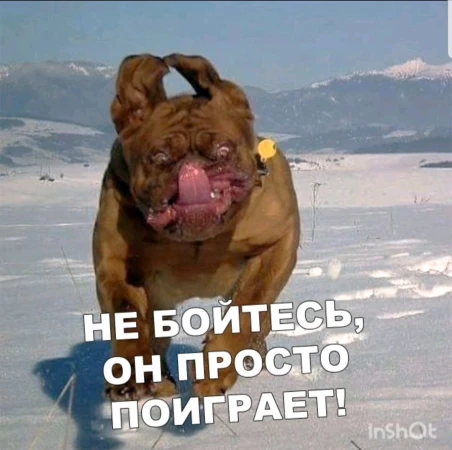 МНОГООБЕЩАЮЩАЯ