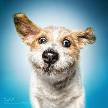 Очаровательная