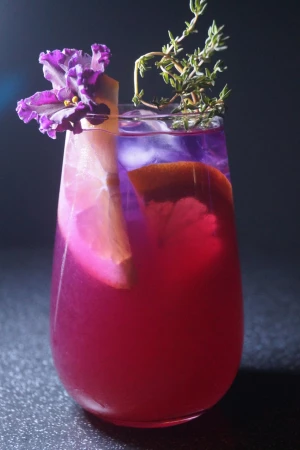 СКИЛЛЕТ  малина - анчан