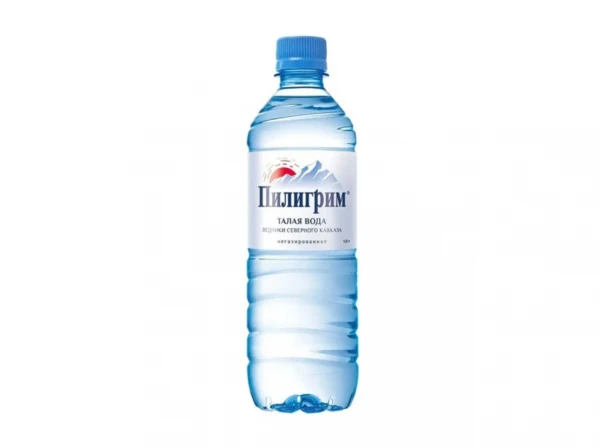 Пилигрим (ПЭТ)
