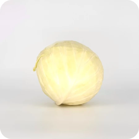 Белокочанная капуста 