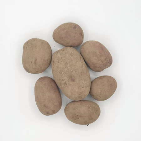 Картофель Беллароза, Бердянск 