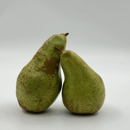 Груша Конференция 