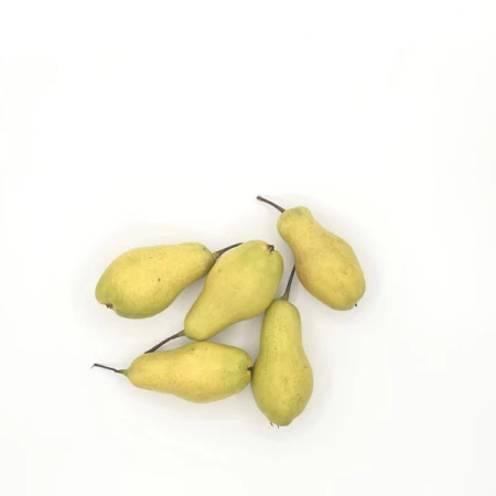 Груша "Лампочка", Кабардино-Балкария 