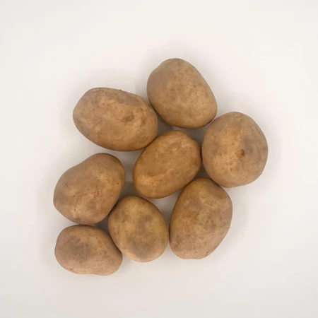 Картофель, Гала 