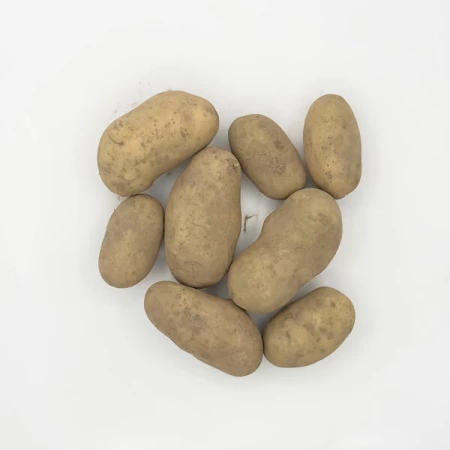 Картофель. Королева Анна